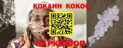 гашик Гай