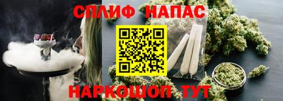 крисы Гагарин