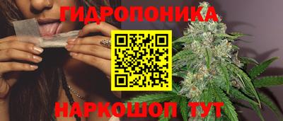 крисы Гагарин